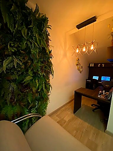 Detalhe da decoração da clínica